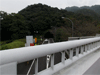 ⑮　歩道橋上