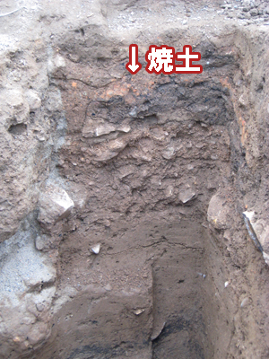 土層堆積状況(北から)