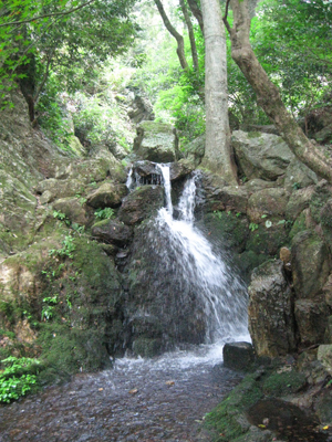 土層堆積状況（北から）